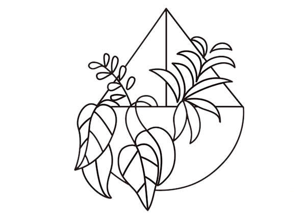 彩色的吊兰简笔画 彩色的吊兰简笔画