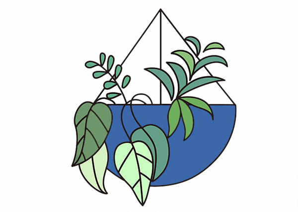 彩色的吊兰简笔画 彩色的吊兰简笔画