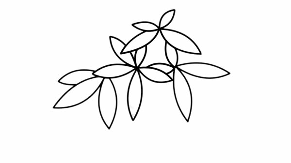 发财树盆栽简笔画