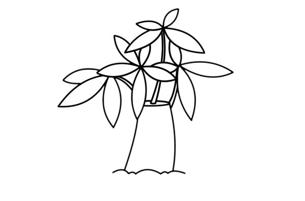 发财树盆栽简笔画