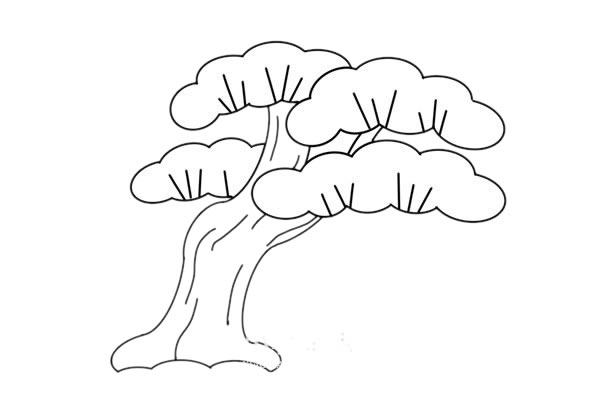 彩色松树简笔画的画法