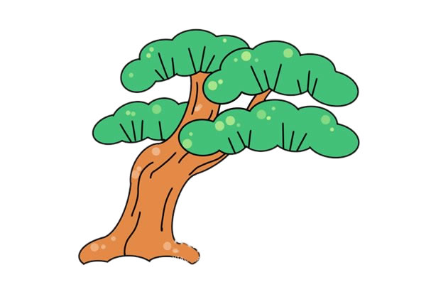 彩色松树简笔画的画法