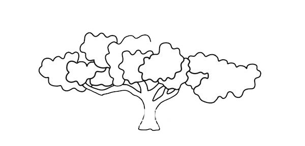 枝繁叶茂的大树简笔画