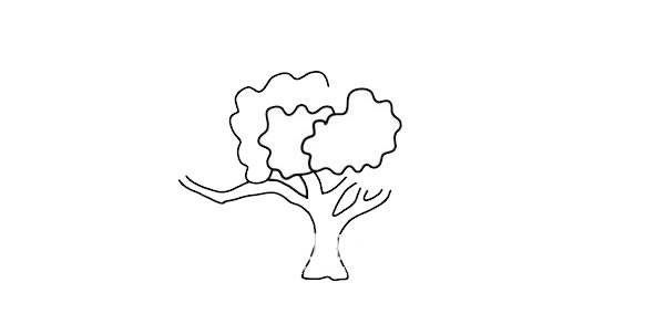 枝繁叶茂的大树简笔画