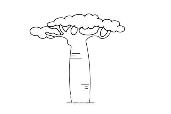 面包树简笔画画法步骤