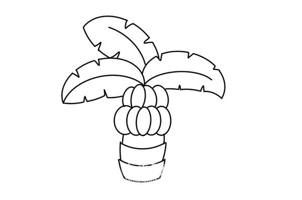 卡通的香蕉树简笔画