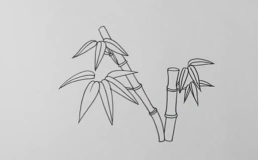 漂亮的竹子简笔画