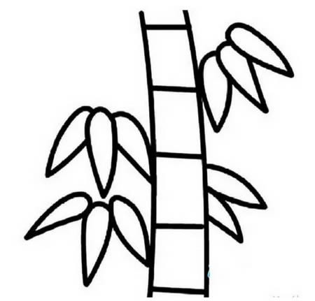 分享一些花草和树木简笔画