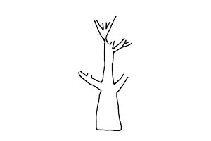 简单漂亮的大树简笔画