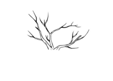 秋天的枯树简笔画