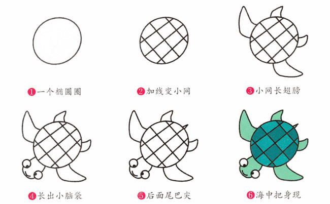 带颜色的海龟简笔画教程