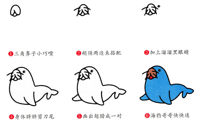带颜色的海豹简笔画教程