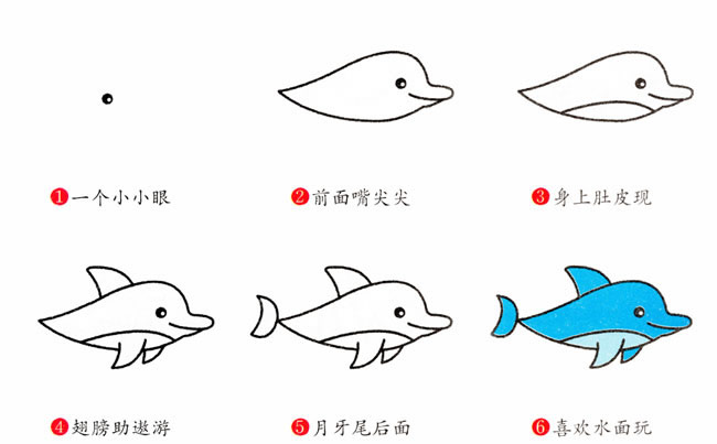 简单涂色的海豚怎么画