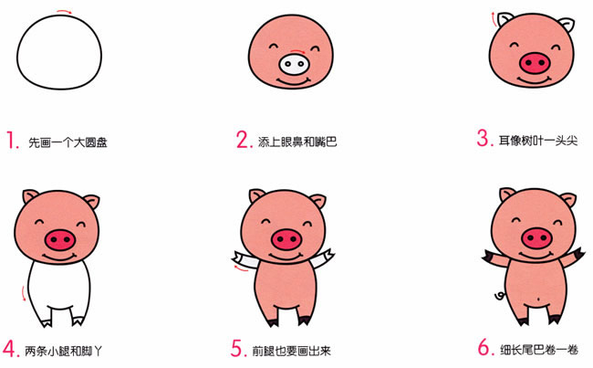 涂色的卡通小猪简笔画步骤