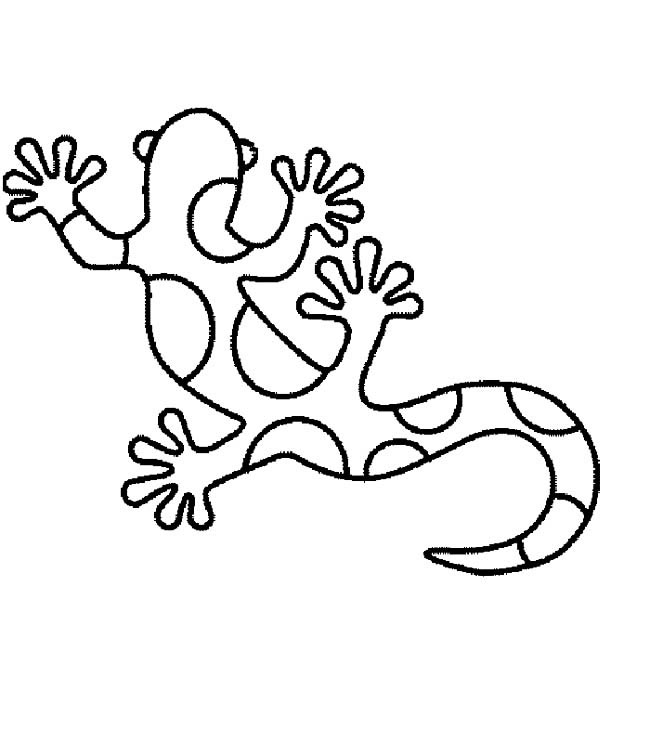 关于壁虎的简笔画
