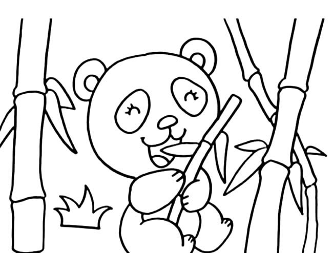 4款熊猫和竹子的简笔画