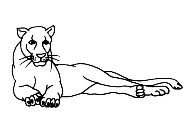 4款凶猛的狮子简笔画大全