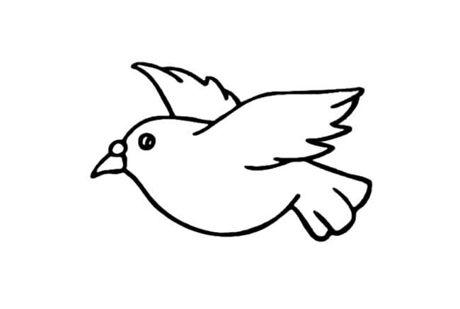 一只小和平鸽简笔画