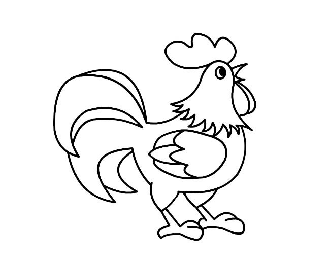 一只大公鸡的简笔画