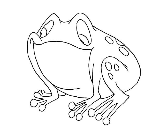 关于青蛙的儿童简笔画