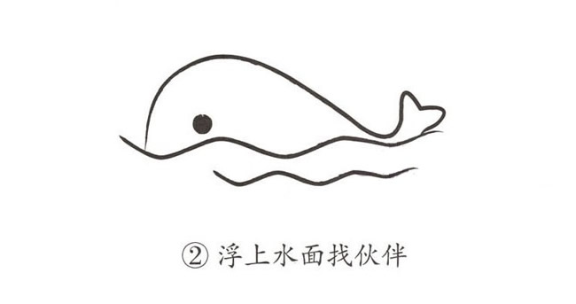 简单抽象的鲸鱼简笔画