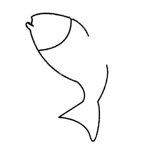 简单的飞鱼怎么画