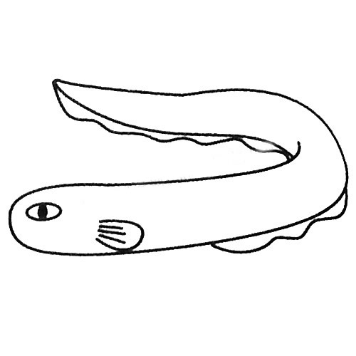 电鳗怎么画 电鳗简笔画步骤