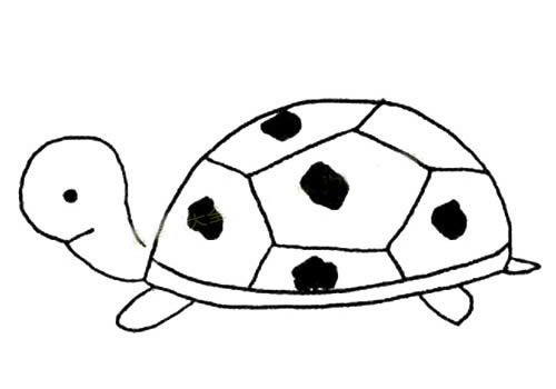 5款不同造型的乌龟简笔画大全