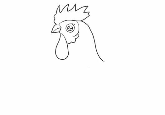 大公鸡简笔画步骤教程