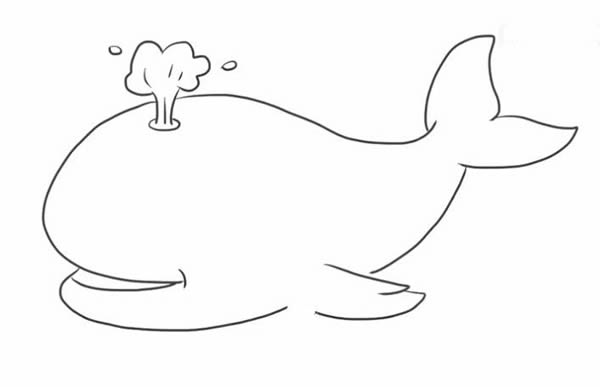 喷水的可爱鲸鱼简笔画教程