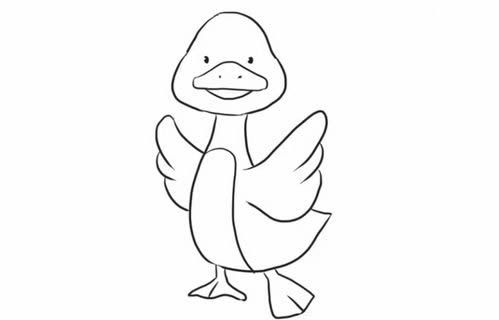 挥动翅膀的小鸭子简笔画