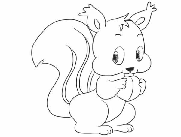 吃坚果的松鼠简笔画步骤