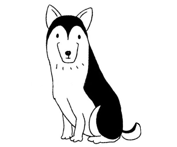 雪橇犬简笔画步骤教程