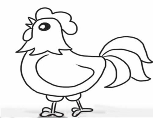 一步步教你画公鸡简笔画