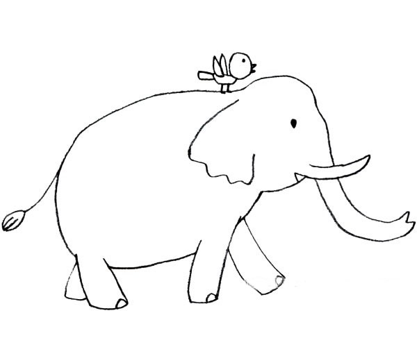 大象背上站着一只小鸟的简笔画