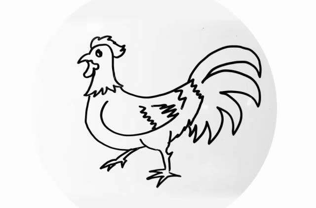 一步步教你画一只公鸡