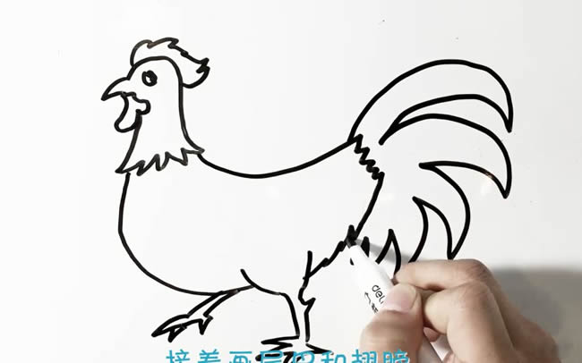 一步步教你画一只公鸡