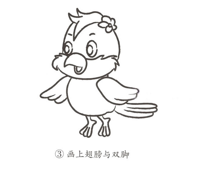 ​​​​​​​彩色的卡通鹦鹉简笔画步骤教程