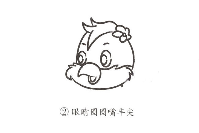 ​​​​​​​彩色的卡通鹦鹉简笔画步骤教程