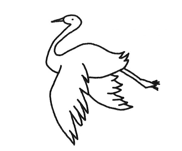 怎么画一只飞翔的丹顶鹤