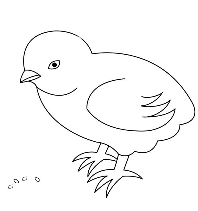 小鸡吃米简笔画