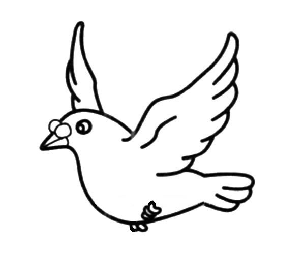 展翅飞翔的鸽子简笔画