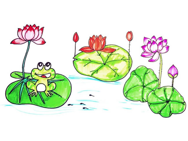 荷花池里的青蛙简笔画彩色
