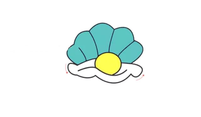 彩色的珍珠贝壳简笔画步骤