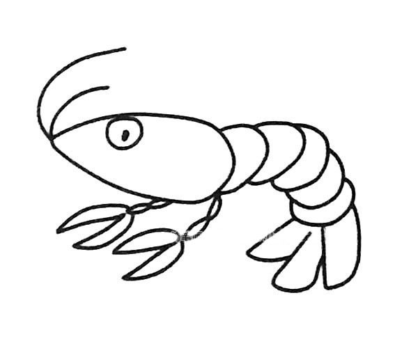 6款卡通大虾简笔画