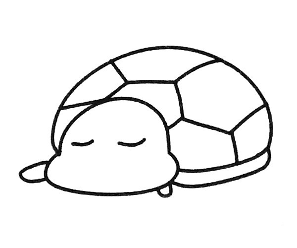 6款卡通乌龟简笔画大全