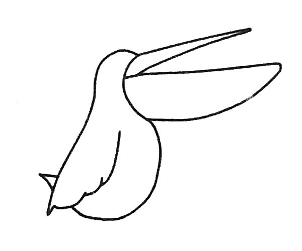 吃鱼的鹈鹕简笔画步骤