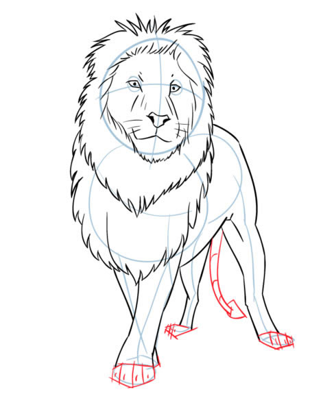 生动霸气的狮子简笔画教程