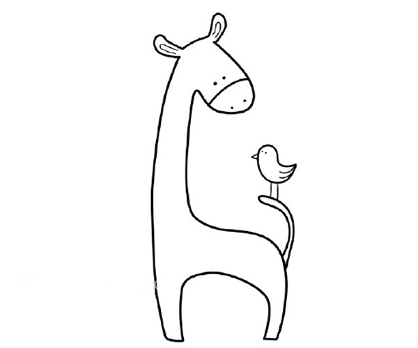 草地上的长颈鹿简笔画步骤 草地上的长颈鹿简笔画步骤