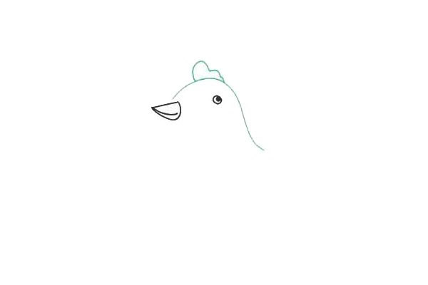 母鸡怎么画 涂色的母鸡简笔画